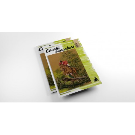 ALBUM CAVALLO E CAVALIERI N.11
