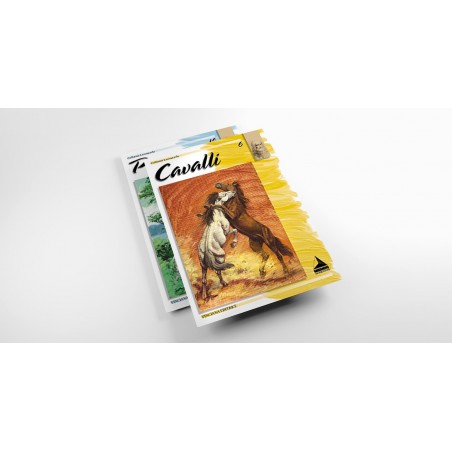 ALBUM I CAVALLI N.6