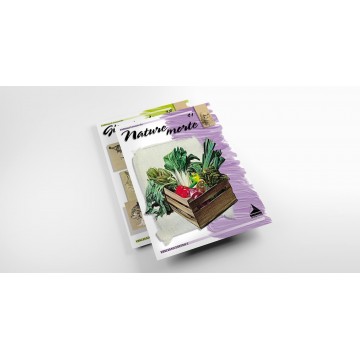 ALBUM NATURE MORTE N.41