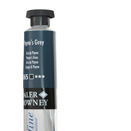 Colori Acquerello Acquafine Daler Rowney tubetto 8 ml GRIGIO PAYNE