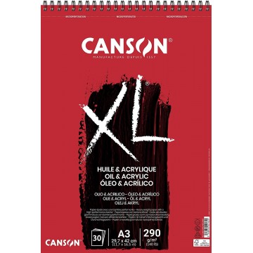 ALBUM CANSON XL HUILE E...