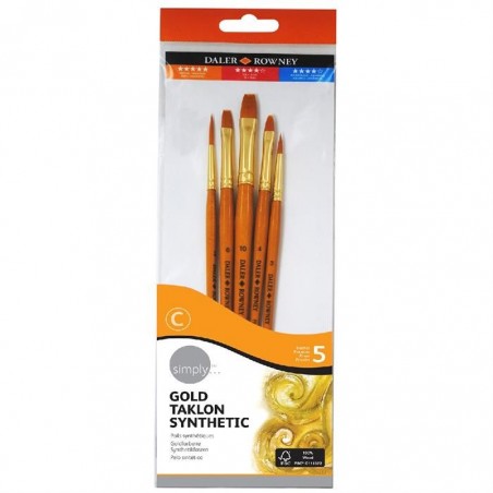 DALER ROWNEY SET 5 PENNELLI SIMPLY TAKLON