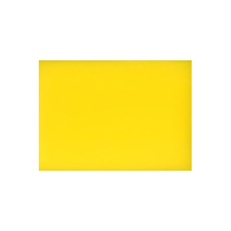 Cartoncino Bristol Color 200gr 70x50cm giallo